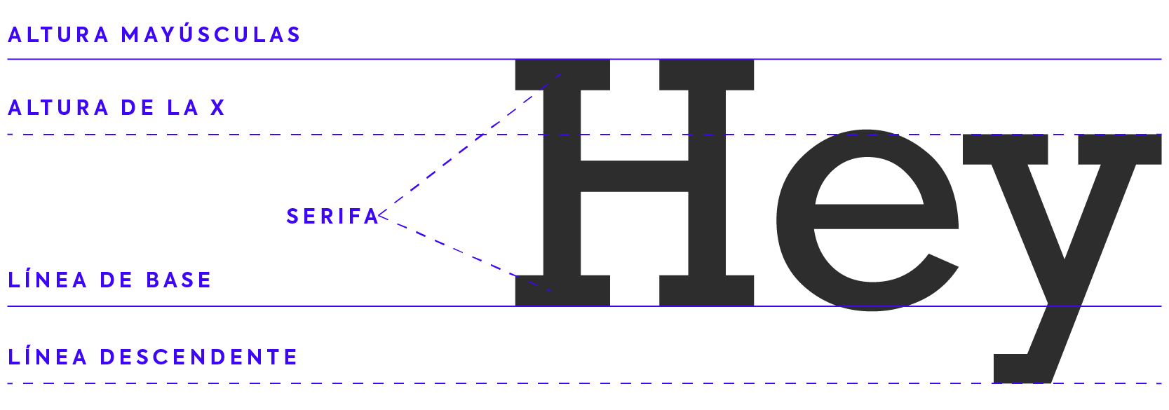 Anatomía tipográfica tipografía diseño gráfico