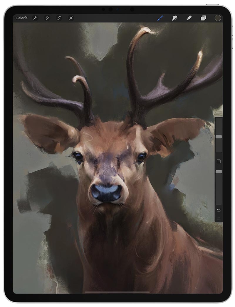 iPad Pro con una ilustración de un ciervo desarrollada en Procreate