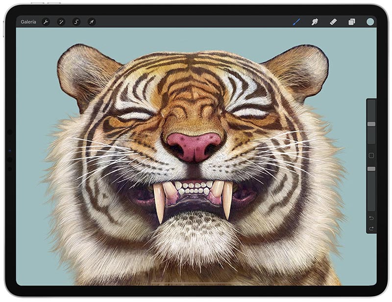 iPad Pro con una ilustración de un tigre sonriendo en Procreate