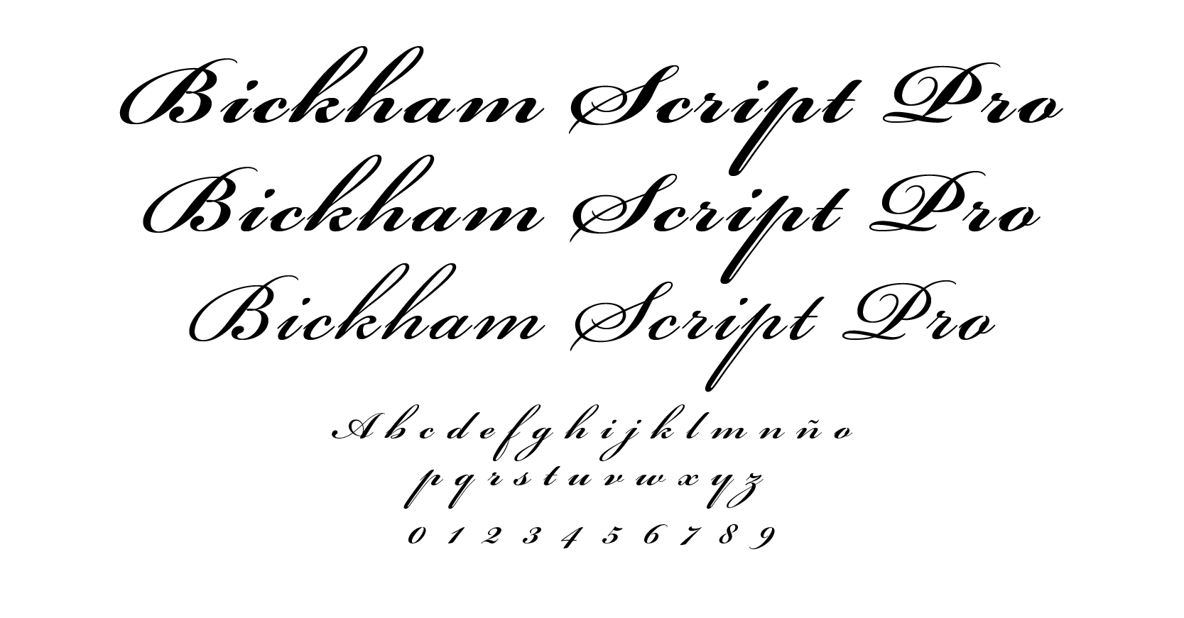Tipografía Bickham Script Pro Adobe 1989